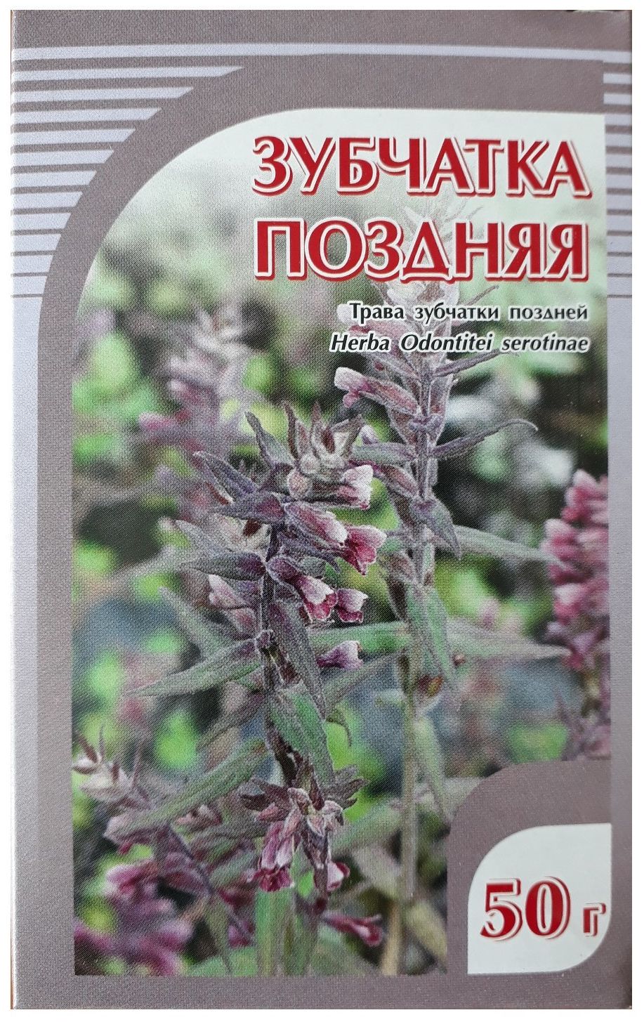 Зубчатка трава | Новости здоровья | Поиск и заказ лекарств в аптеках  Санкт-Петербурга и Ленинградской области.