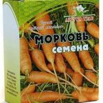 Морковь