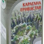 Карагана гривастая