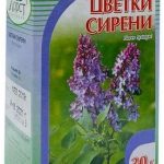 Сирень цветки