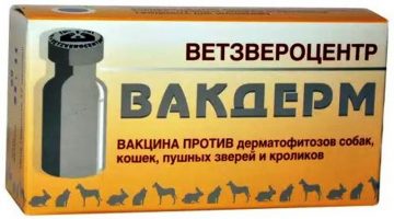 Вакдерм