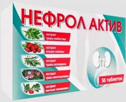 Нефрол актив