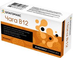 Благомакс Чага B12